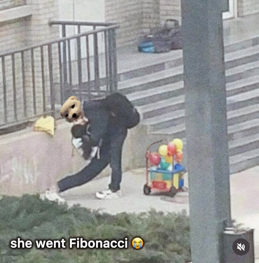 Trading meme with Fibonacci text